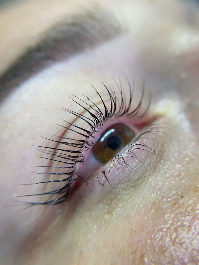 regard 01