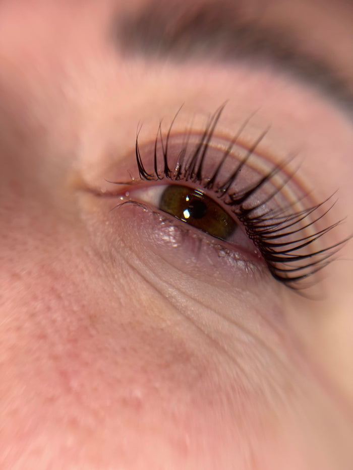 regard 03