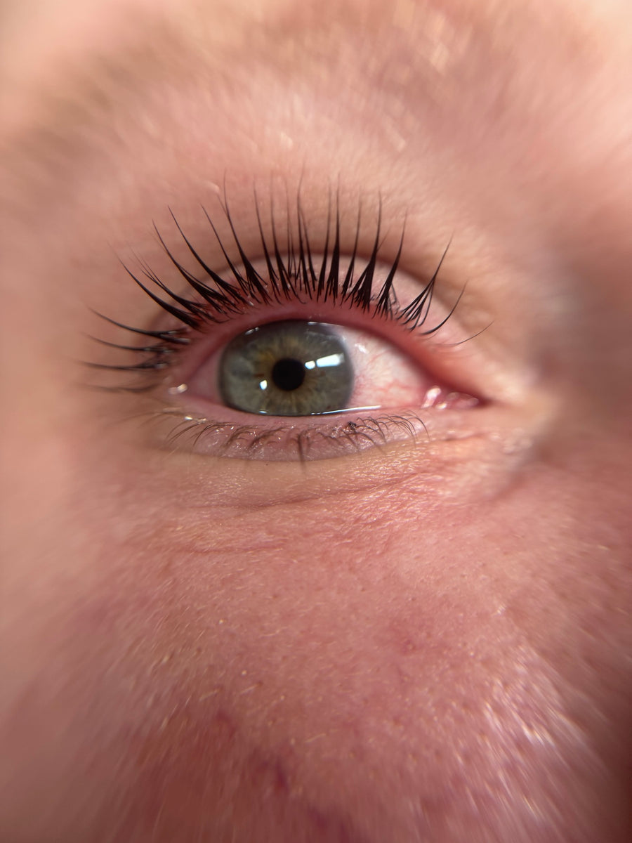 regard 07