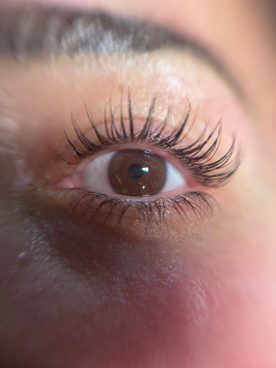 regard 12